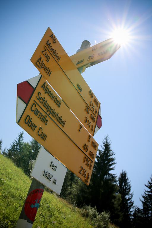 Berghaus Alpenroesli *